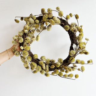 spring dried flower thistle wreath