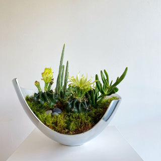 succulent garden in arc by the plantscape (4 day lead time)