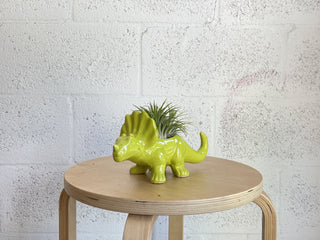 Dinosaur Planter by The Plantscape