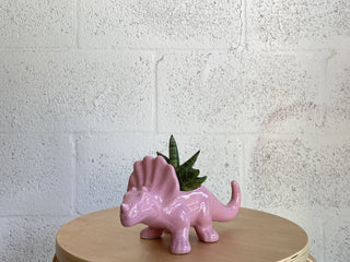 Dinosaur Planter by The Plantscape