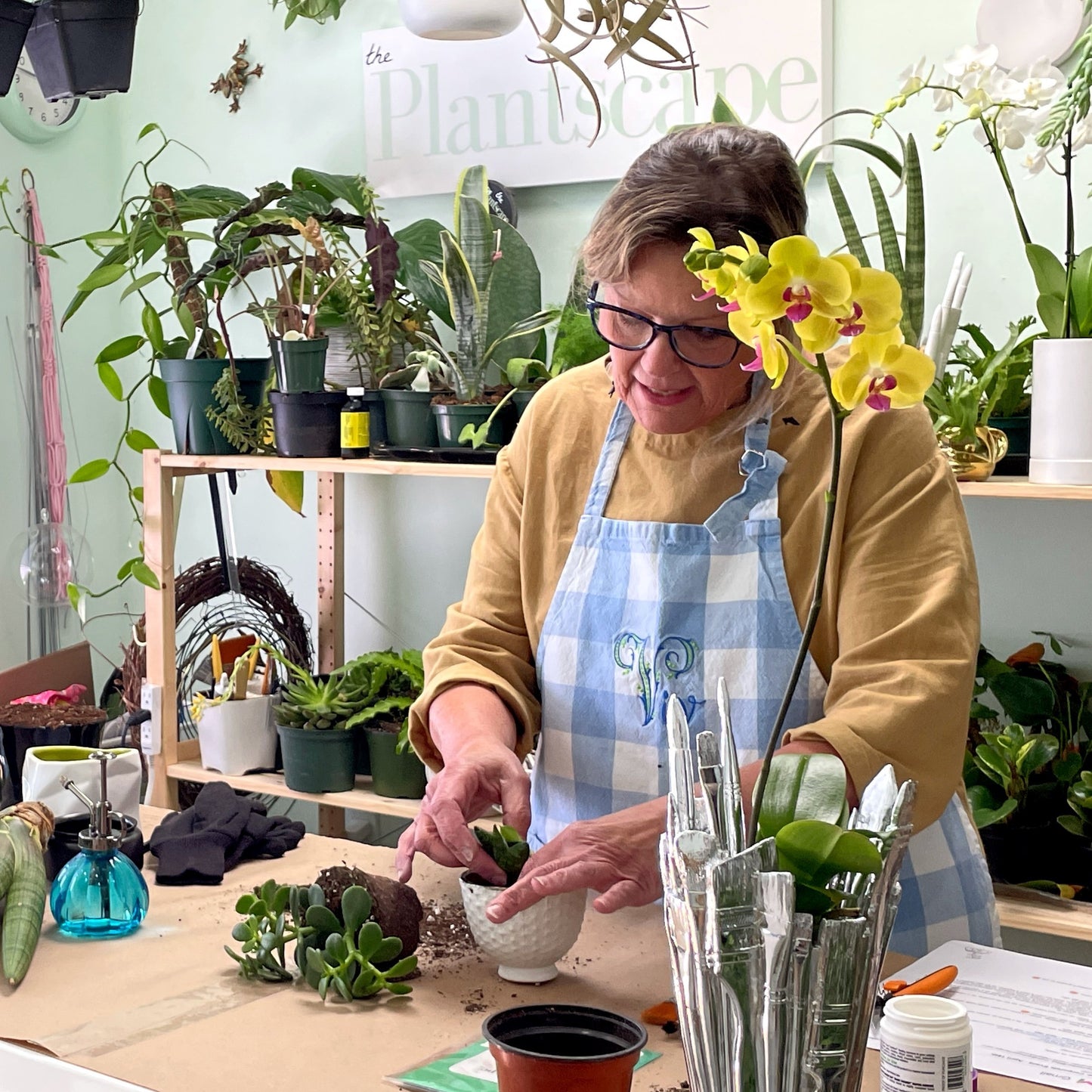 Plant Potting & Maintenance by The Plantscape