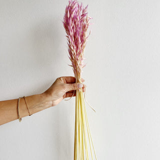 spring dried oats flower bunch - houseoflilac