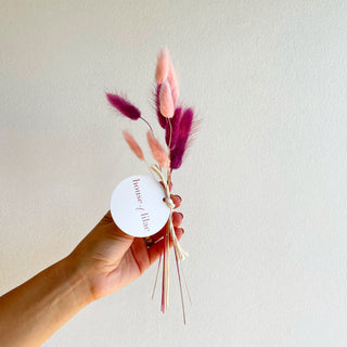 bunny tail grass dried flower bundle