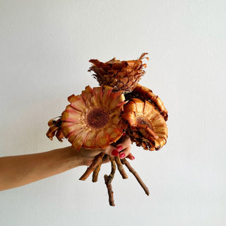 Dried Protea Magnifica Stems - houseoflilac