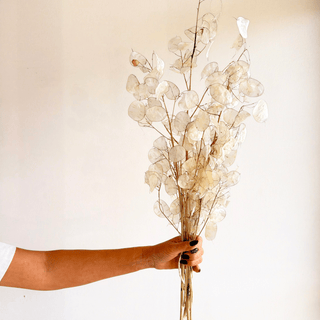 dried flower annual seasonal bouquet subscription (save 15%) - houseoflilac