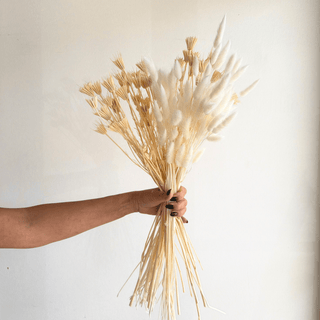 dried flower annual seasonal bouquet subscription (save 15%) - houseoflilac