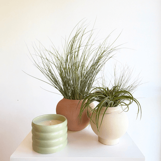 Moab Botanical Ritual Set - houseoflilac