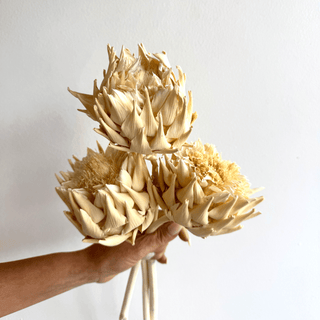 Dried Artichoke - houseoflilac