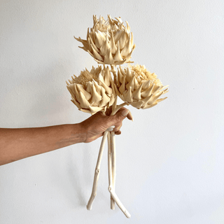 Dried Artichoke - houseoflilac