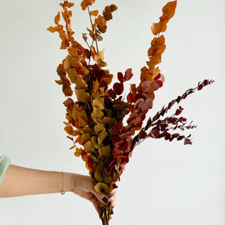 autumn cynerea eucalyptus preserved flower bunch