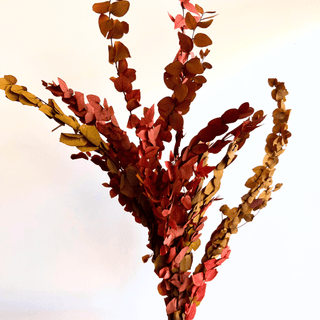 autumn cynerea eucalyptus preserved flower bunch - houseoflilac