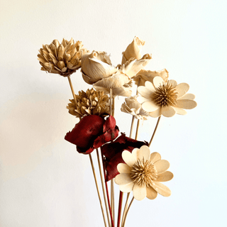 Dried Stick Palm Cup Stem - houseoflilac