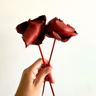 Dried Stick Palm Cup Stem - houseoflilac