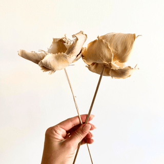 Dried Stick Palm Cup Stem - houseoflilac