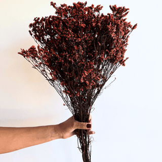 Fall Red Caspia Bunch - houseoflilac