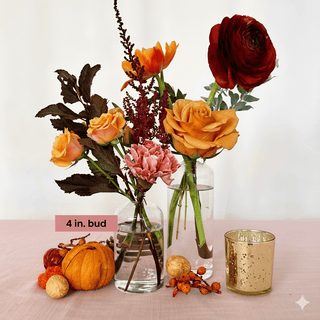 thanksgiving party in a box - houseoflilac