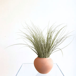 Moab Sculpted Grass Planter