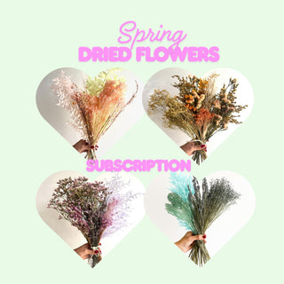 dried flower annual seasonal bouquet subscription (save 15%) - houseoflilac