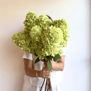 large fall season hydrangea - houseoflilac