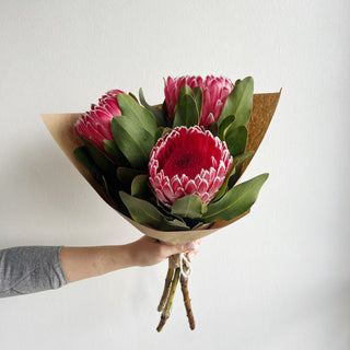 weekly bodega fresh flower bouquet wrap - pink protea - houseoflilac
