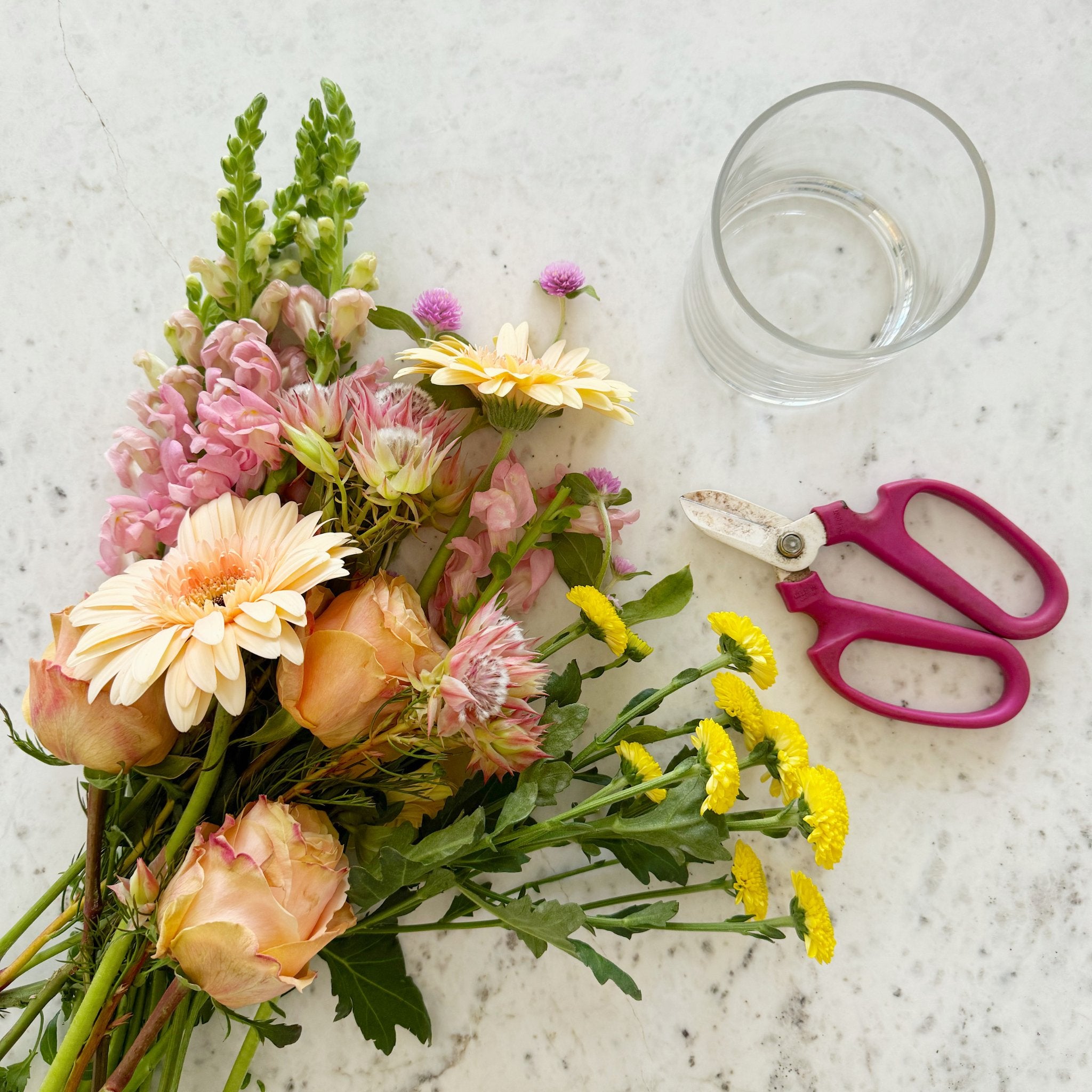 house plant bouquet diy flower subscription with vase – houseoflilac