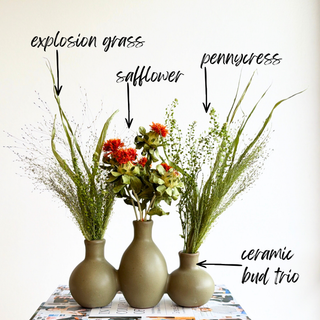 orange safflower, green explosion grass and pennycress dried arrangement in an olive ceramic bud vase with the stems labeled — House of Lilac