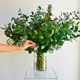 statement lush greens arrangement subscription