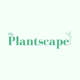 Custom Planting Consultation by The Plantscape