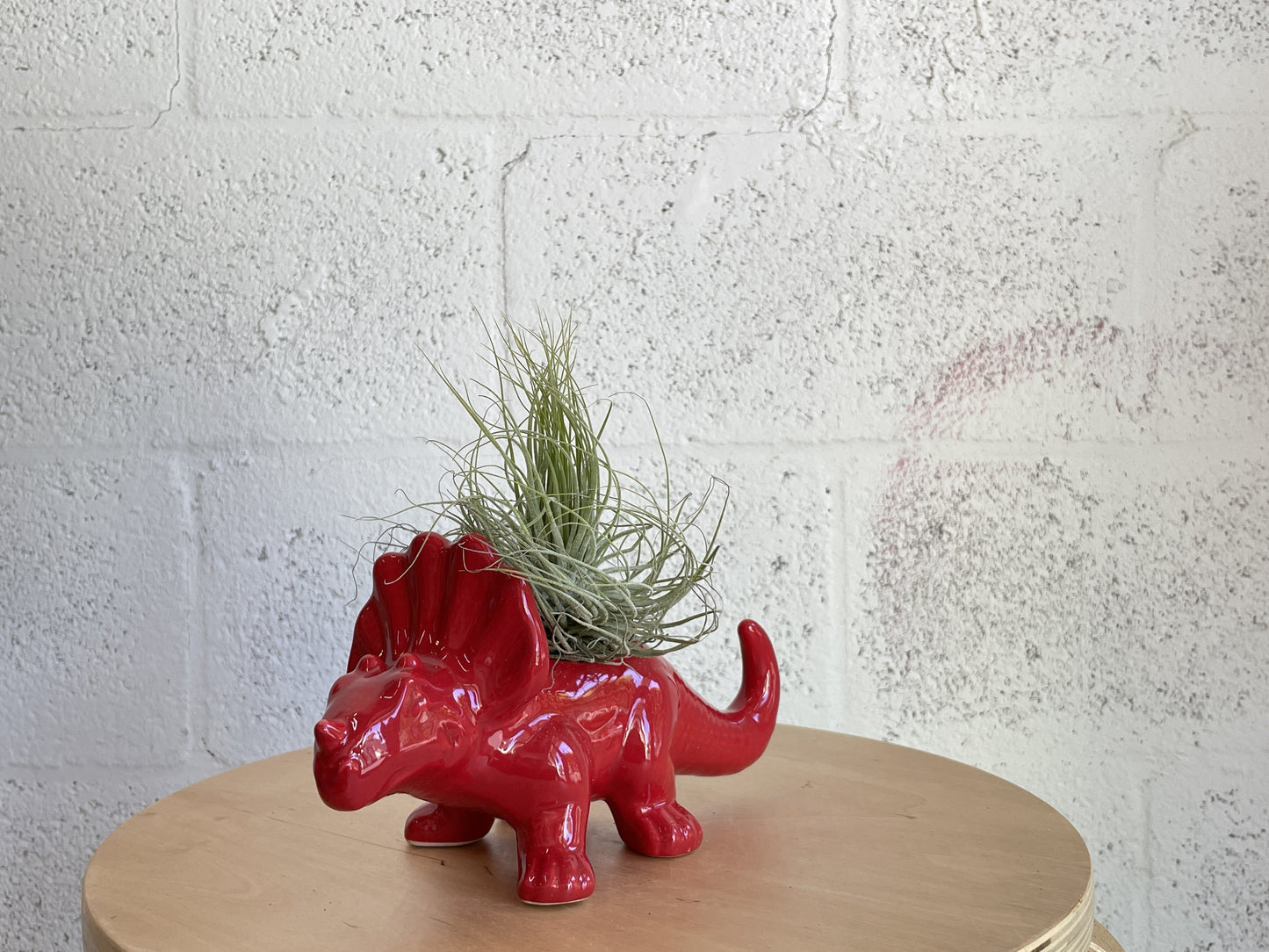 Dinosaur Planter by The Plantscape