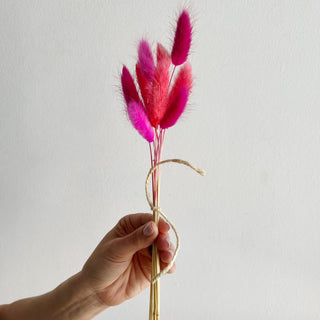 bunny tail grass dried flower bundle - houseoflilac