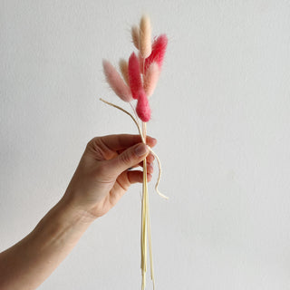 bunny tail grass dried flower bundle - houseoflilac