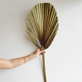 dried fan palms - houseoflilac