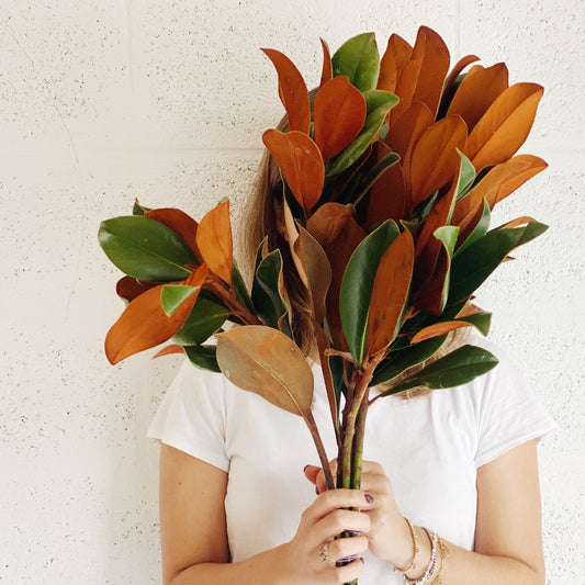 Magnolia Bunch