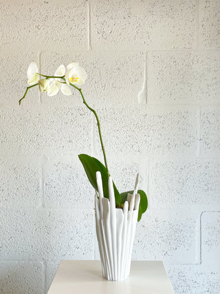 Orchid in Harry Allen Reality Brush Vase by The Plantscape