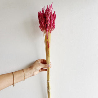 spring dried orchard grass flower bunch - houseoflilac