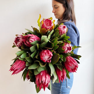 Large Protea - houseoflilac