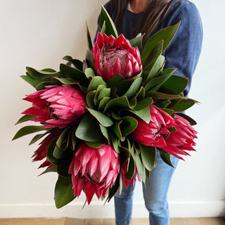 Large Protea - houseoflilac