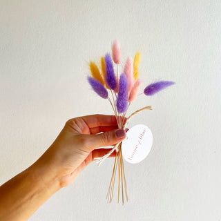 bunny tail grass dried flower bundle