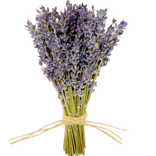 Small French Lavender Bouquet - houseoflilac