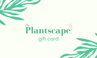 gift card by The Plantscape